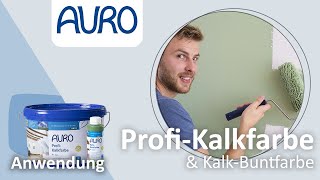 AURO Anwendung Kalkfarben und KalkBuntfarben [upl. by Kawai]