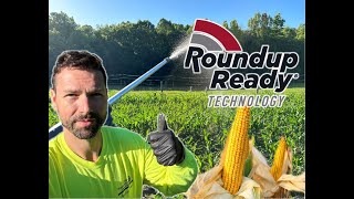 Spraying Roundup Ready Field Corn  Deer amp Dove Food Plot  Dove Farming 2024 [upl. by Trinidad]