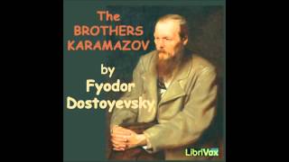 The Brothers Karamazov audiobook  part 8 [upl. by Adnowal923]