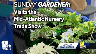 Sunday Gardener Valley View Farms previews the Mid Atlantic Nursery Trade Show [upl. by Yhtur250]