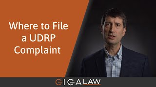 Domain Dispute Masterclass 11 Where to File a UDRP Complaint [upl. by Meggy688]