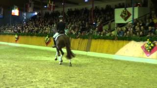 Eye Catcher and Vivaldi  Stallion Show Paul Schockemöhle [upl. by Aicertal]