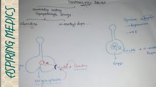 Centrally acting sympatholytic agents Vascular pharmacology [upl. by Arrac339]