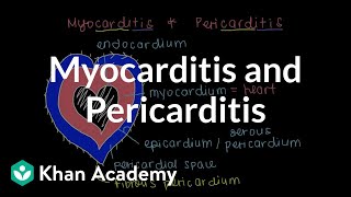 What is myocarditis and pericarditis  Circulatory System and Disease  NCLEXRN  Khan Academy [upl. by Arrat986]