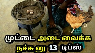 கோழி முட்டை அடை வைக்க நச்சு னு 13 Tips  கோழி வளர்ப்பு  Chicken egg hatching 13 ideas [upl. by Airdnaxila]