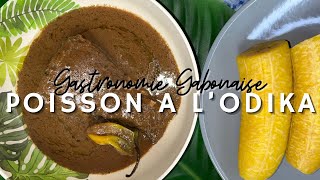 Poisson au chocolat odika  Gastronomie gabonaise  Cuisine du Gabon  Chocolat indigène [upl. by Hgielrahc452]