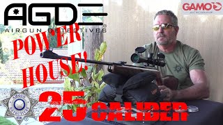 quotNEWquot Gamo Hunter Extreme 25 quotFull Reviewquot [upl. by Steen]