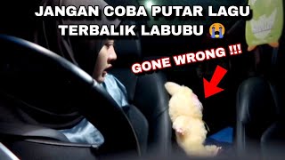 JANGAN PUTAR LAGU LABUBU TERBALIK DI TENGAH MALAM  😱 [upl. by Yliah32]