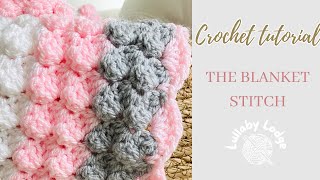 How to Crochet the Blanket Stitch EASY Crochet Tutorial [upl. by Tindall]