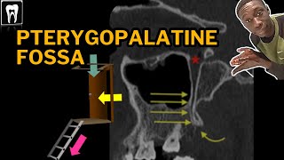 Pterygopalatine Fossa Anatomy  PPF Boundaries and Foramina  Radiology Anatomy [upl. by Kaslik]