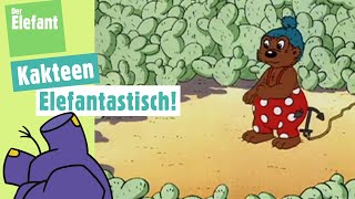 Petzi landet im Kakteenwald amp Lachgeschichte Zuckerwatte  Der Elefant  WDR [upl. by Tab]