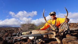 Lanai Rifle Hunt  2022 Stewardship Hunt  700 Yard Shot [upl. by Nnel932]