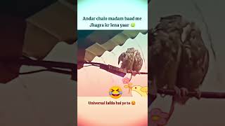 trending now 😂😂youtubeindia ytshort ytshorts viralvideo viralshorts universe song funny [upl. by Netfa]