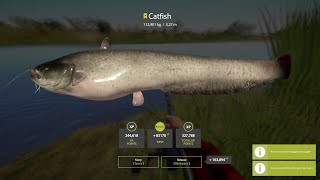 catfish trophy rf4 [upl. by Mita]