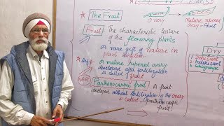 CH 5 Morphology Of Flowering Plants TopicThe Fruitclass 11 NEET Biology NCERT [upl. by Akihsar]