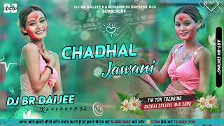 Chadal jawani jab hamar hogail TikTok Viral Bhojpuri Dj Song 2023  Fully Edm Dance  Dj Br [upl. by Halilak]