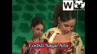 codki sagal arts hesti walbahar [upl. by Alyakem841]