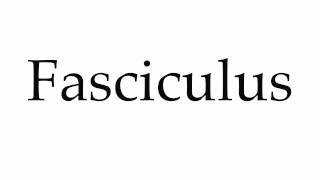 How to Pronounce Fasciculus [upl. by Saffier]