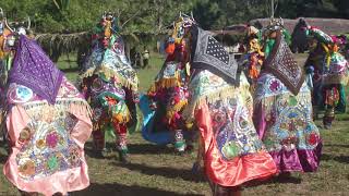 Deer Dance at the 2019 Maya Day in Blue Creek [upl. by Ho]