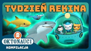 Oktonauci  🦈 MARATON Z OKAZJI TYGODNIA REKINA 🤿  Kompilacja  Całe odcinki [upl. by Eugenio920]