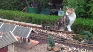 Cats and Trains mal anders Gartenbahn LGB Jens Handro [upl. by Seilenna]