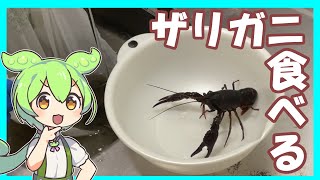 【努力の味】ザリガニ捕まえて食べてやろう【ずんだもん】 [upl. by Rob]