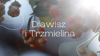 Dławisze i Trzmieliny [upl. by Savory]