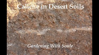 Southwest Desert Soils and Caliche [upl. by Toma]