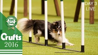 Day 3 Live  Crufts 2016 [upl. by Notsgnal]