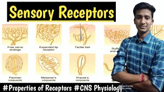 Sensory ReceptorsProperties of Receptors  CNS Physiology LecturesMBBS hindi Ashish [upl. by Luciana171]