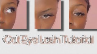 Cat Eye Individual Lash Tutorial [upl. by Griswold823]