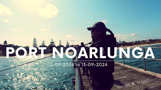 Epic Port Noarlunga Squidding  12092024 13092024 [upl. by Irrok499]