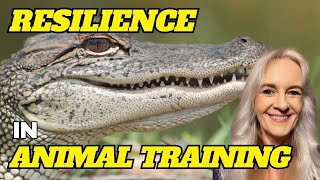 An Exploration Of Resilience In Animal Training [upl. by Asha139]