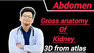 Gross anatomy of kidney features relations blood supply nerve supply and lymphatic drainage [upl. by Theurich]