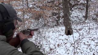 Mosin Nagant  Woods Walk [upl. by Cadmann]