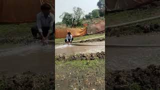 Panat chalu kar di farming shots video [upl. by Nabala]