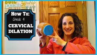 How to Check Cervical Dilation  Vaginal Exam [upl. by Marigold72]