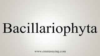 How To Say Bacillariophyta [upl. by Normandy706]