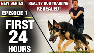 First 24 Hours with a TOTALLY UNTRAINED DOG NEW SERIES Reality Dog Training Episode 1 [upl. by Vallonia]