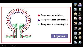 5 Vejiga neurogénica Dr Bocanegra [upl. by Togram]