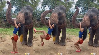 Rubi Rose Jumps On To Elephant’s Nose [upl. by Bollay767]