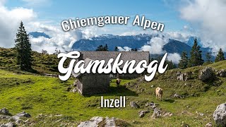 Gamsknogel und Kohleralm  Bergtour Inzell  Wanderung Chiemgauer Alpen [upl. by Cimah584]