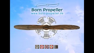 Born Propeller Demo 1992 [upl. by Inaluahek754]