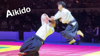 Amazing Aikido is demonstrated at the KUDO tournament by Shirakawa Ryuji [upl. by Selia]