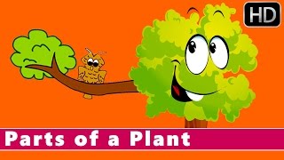 Parts of a Plant  Learn about Plants  Animation Nursery Rhymes [upl. by Ecirtnuahs]