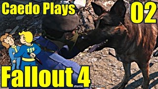 Fallout 4  AttentionGetting Whimper  Caedo Plays 02 [upl. by Olen]