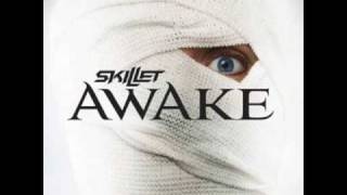 Skillet  Its Not Me Its You awake 2009 [upl. by Atilemrac]