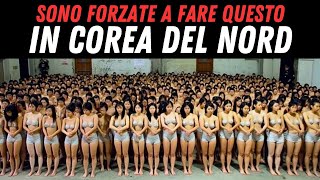 Rimarrai SCIOCCATO dai Bizzarri Obblighi della Corea del Nord [upl. by Ydnac]