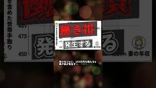 国民の声「年収の壁をなくして！」「与党と野党で協力して！」 [upl. by Agnella]