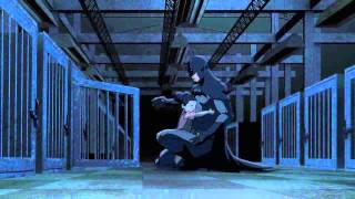 batman vs robin AMV 2015 [upl. by Dawna]